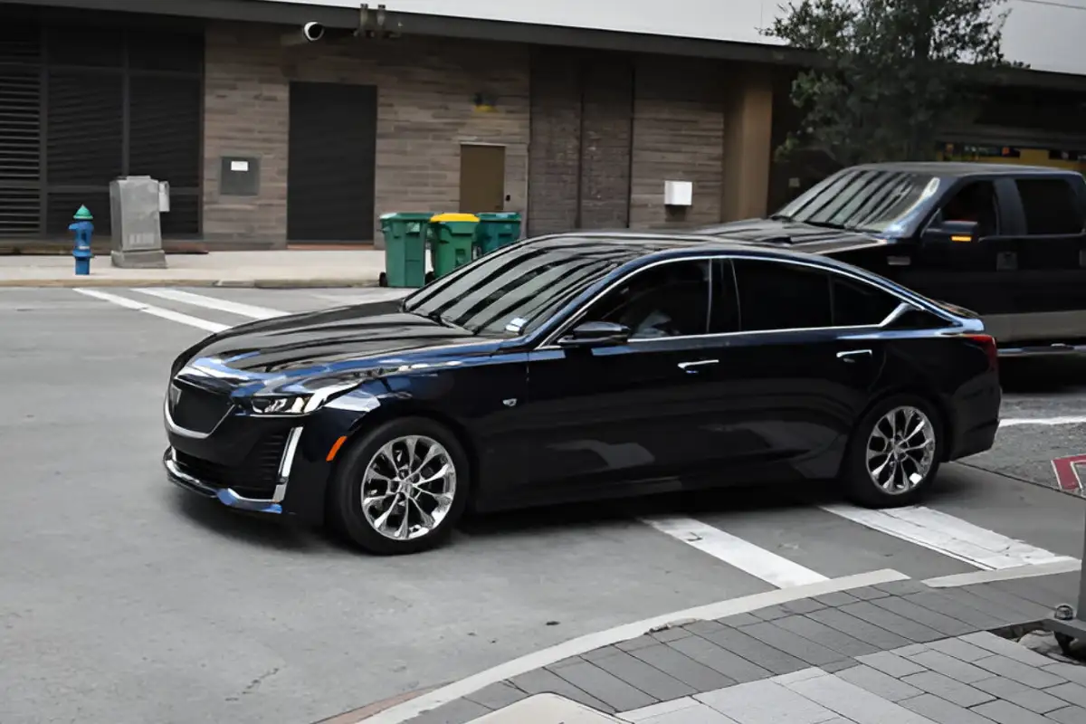 Black Car service dc