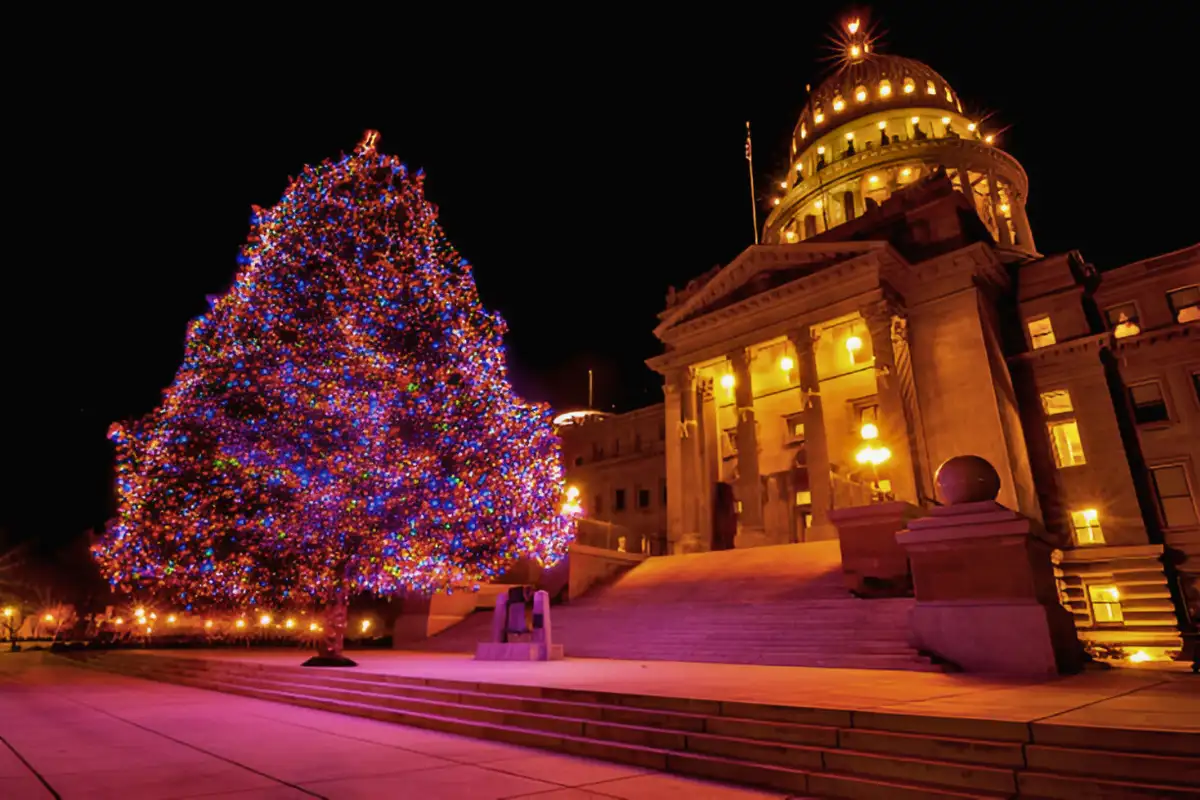 Christmas Light Tour Washington DC