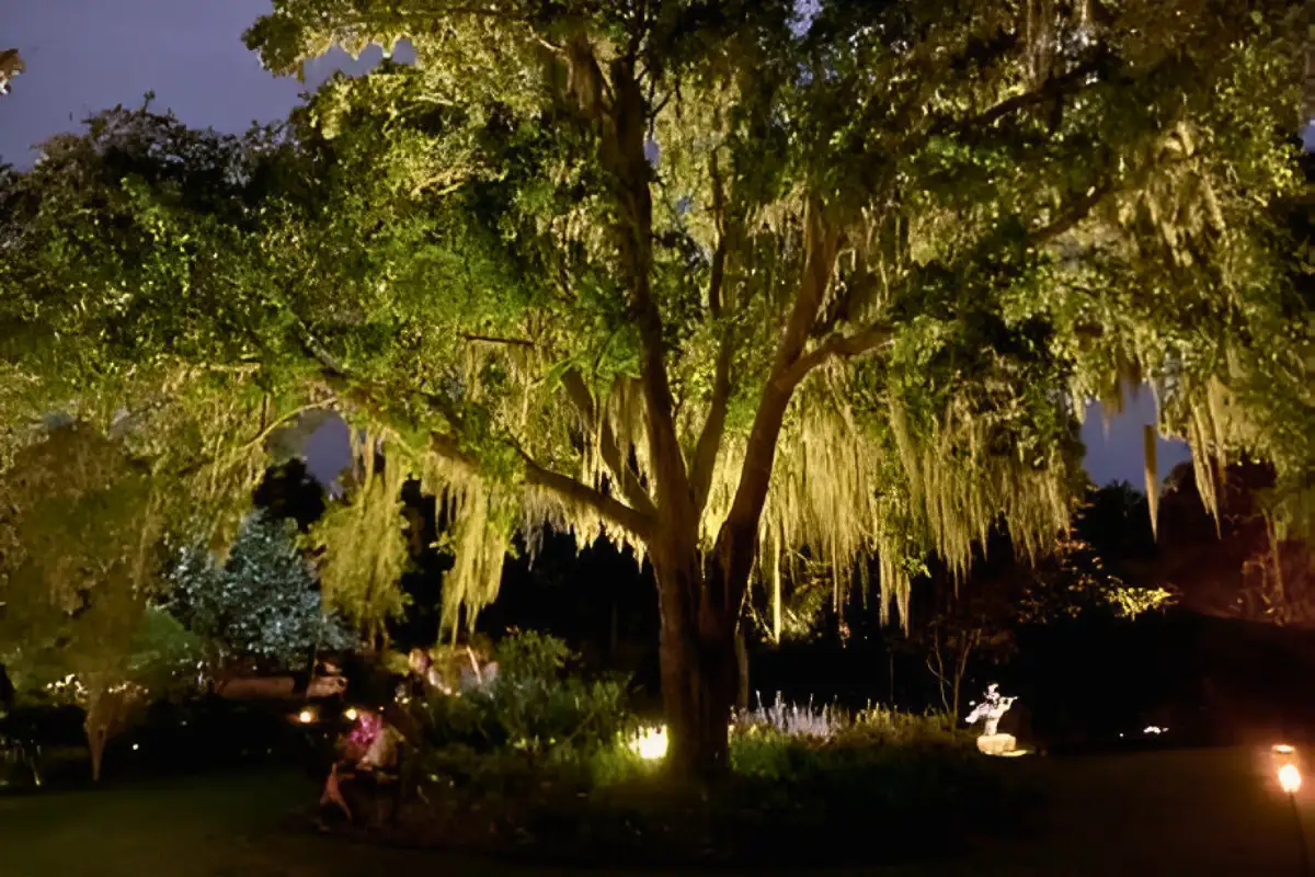 Night-of-the-Living-Zoo