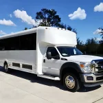 20 Passengers Party Bus (1)