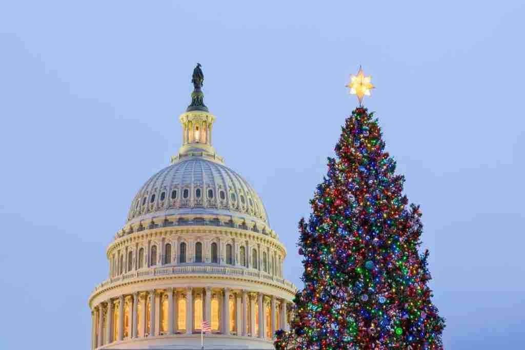 The National Christmas Tree