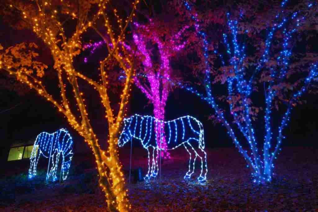 ZooLights at the National Zoo