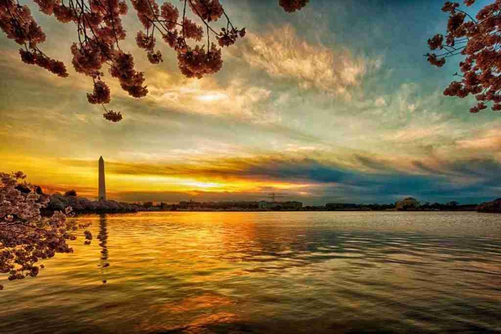 Tidal Basin