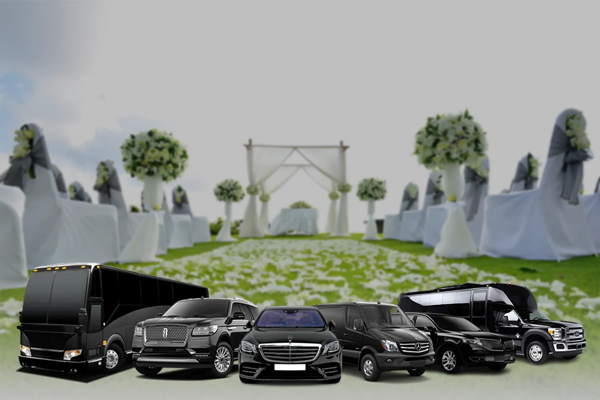 Event and special Transportation